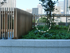 下水処理場に隣接する生垣の中に目立たないよう設置された中和消臭器